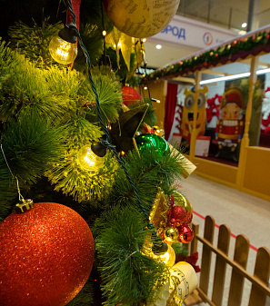 Открытие Резиденции Деда Мороза!