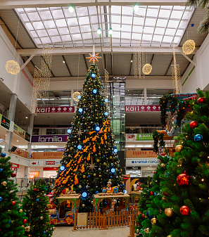 Резиденция Деда Мороза 2024/2025