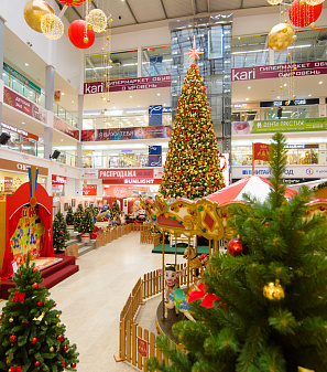 Открытие Резиденции Деда Мороза!